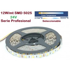 Tira LED Flexible 24V 12W/mt 60 Led/mt SMD 5025 IP20 CCT 2700ºK a 6000ºk Serie Profesional, Rollo 5 mts